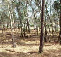 Chiltern-Mt Pilot National Park - Accommodation Broome