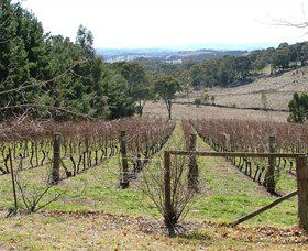 Habitat Vineyard - Accommodation Broome 0
