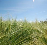 150 Degrees East Meridian - Accommodation Broome