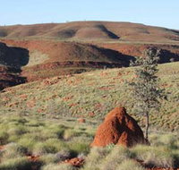 Camel Trail Millstream-Chichester National Park - Accommodation Broome