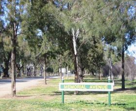 Memorial Avenue In Cowra - Accommodation Broome 1