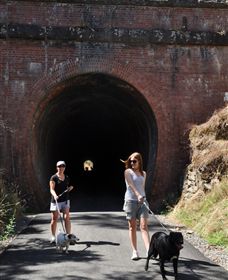 Cheviot Tunnel - Accommodation Broome 0