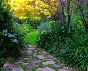 Out Of Town Nursery And Humming Garden - Accommodation Broome 2
