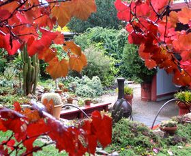 Out Of Town Nursery And Humming Garden - Accommodation Broome 1