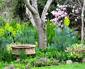 Out Of Town Nursery And Humming Garden - Accommodation Broome 4