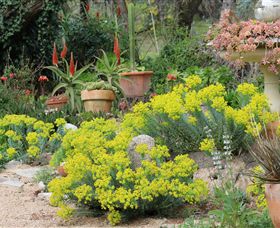 Out Of Town Nursery And Humming Garden - Accommodation Broome 8