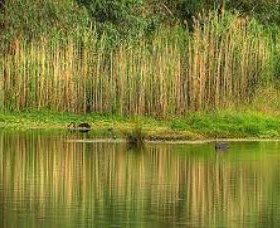 Wonga Wetlands - Accommodation Broome 2
