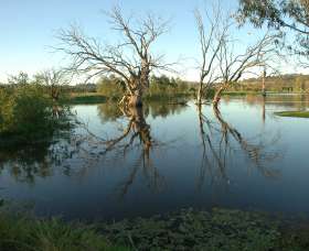 Wonga Wetlands - Accommodation Broome 4