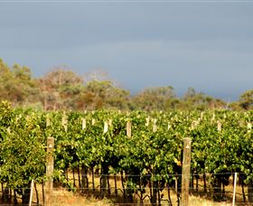Amulet Vineyard And Beechworth Cider - Accommodation Broome 7