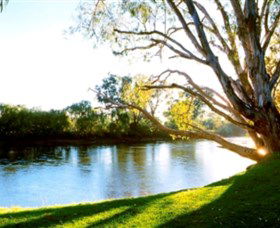 Albury - Murray River Precinct - Accommodation Broome 0