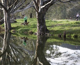 Albury - Murray River Precinct - Accommodation Broome 3