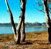Lake Broadwater Conservation Park - Accommodation Broome