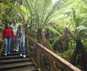 Otway Fly Treetop Adventures - Accommodation Broome 0