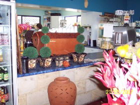Warwicks Gardens Galore - Accommodation Broome 2