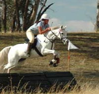 National Equestrian Centre - Kerrabee - Accommodation Broome