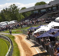 Thoroughbred Park Canberra Racing Club - Horse Racing in the Nations Capital - Accommodation Broome