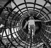 Pod Playground at the National Arboretum - Accommodation Broome
