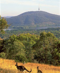 Canberra Centenary Trail - Accommodation Broome 0