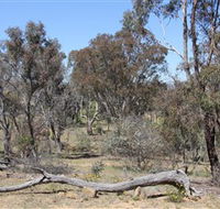 Remembrance Nature Park - Accommodation Broome