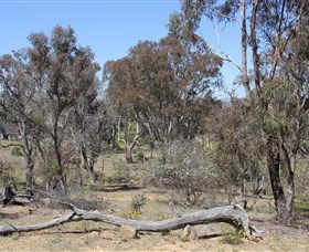 Remembrance Nature Park - Accommodation Broome 0