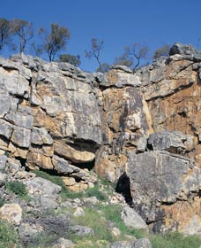 Watheroo National Park - Accommodation Broome 0