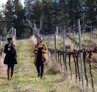 Mount Majura Vineyard - Accommodation Broome