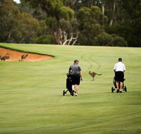 Federal Golf Club - Accommodation Broome