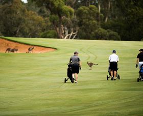 Federal Golf Club - Accommodation Broome 0
