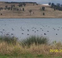 Lake Liddell Recreation Area - Accommodation Broome
