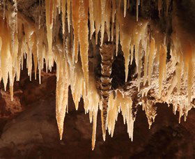 Wombeyan Caves - Accommodation Broome 1