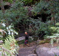 Leura Cascades Fern Bower - Accommodation Broome