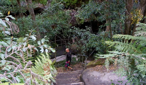Leura Cascades Fern Bower - Accommodation Broome 0