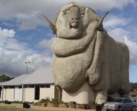Big Merino - Accommodation Broome 0