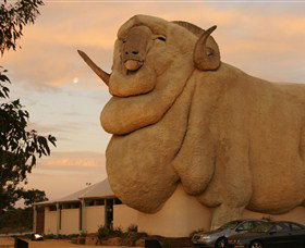 Big Merino - Accommodation Broome 3