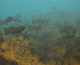 Cape Paterson VIC Accommodation Broome