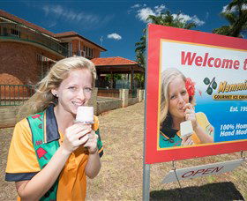 Mammino Gourmet Ice Cream - Accommodation Broome 3