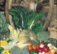 Mulgowie Real Farmers Markets - Accommodation Broome