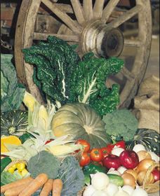 Mulgowie Real Farmers Markets - Accommodation Broome 0