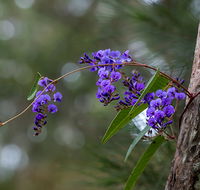 Mann River Nature Reserve - Accommodation Broome