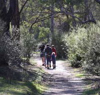 Syd's Rapids and Aboriginal Heritage Trail Avon Valley - Accommodation Broome