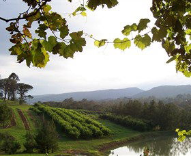 Enniskillen Orchard - Accommodation Broome 1