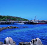 King Island Dairies - Accommodation Broome