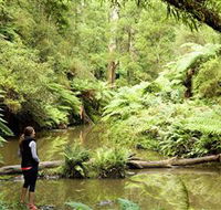 Morwell National Park - Accommodation Broome