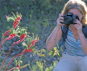 Kalamunda National Park - Accommodation Broome 1