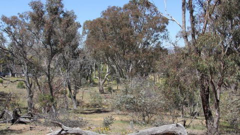 Remembrance Nature Park - Accommodation Broome 2