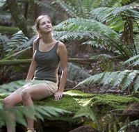 Barrington Tops National Park - Honeysuckle Forest Track - Accommodation Broome