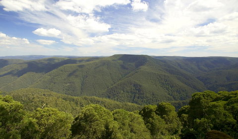 Barrington Tops National Park - Accommodation Broome 0