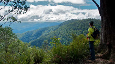 Barrington Tops National Park - Accommodation Broome 3