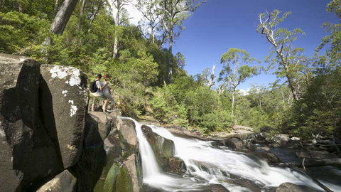 Barrington Tops National Park - Accommodation Broome 2