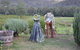 Wollombi Wines - thumb 4